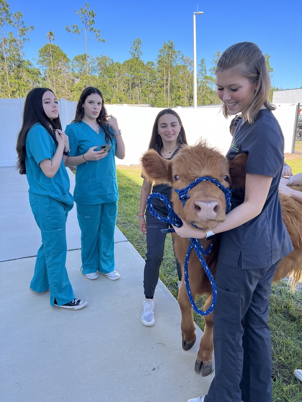 original-129B4441-B01A-4027-80E7-72DDF9A0B69B