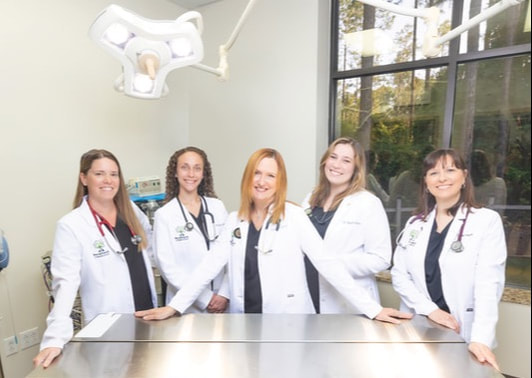 prf-final-lead-june24-e-240501-pets-r-family-59